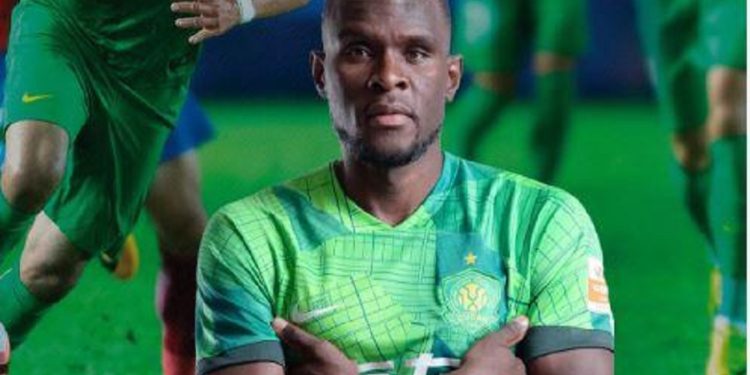 Michael Ngadeu-Ngadjui