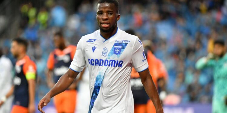 Hamed Junior Traoré